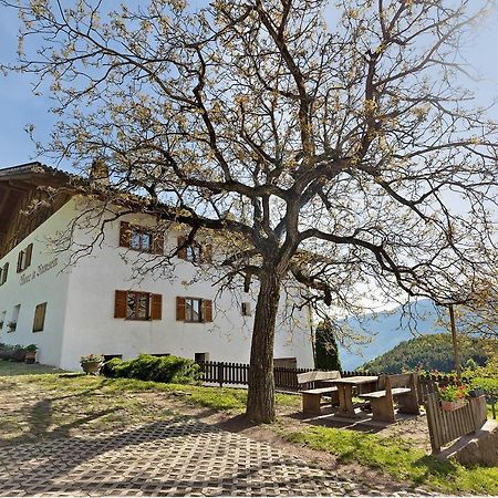 Moar Im Rumsein - Apt Saltenblick Terlan Zewnętrze zdjęcie