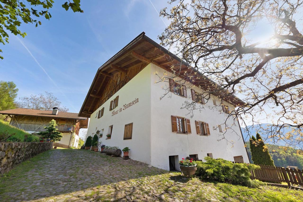 Moar Im Rumsein - Apt Saltenblick Terlan Zewnętrze zdjęcie